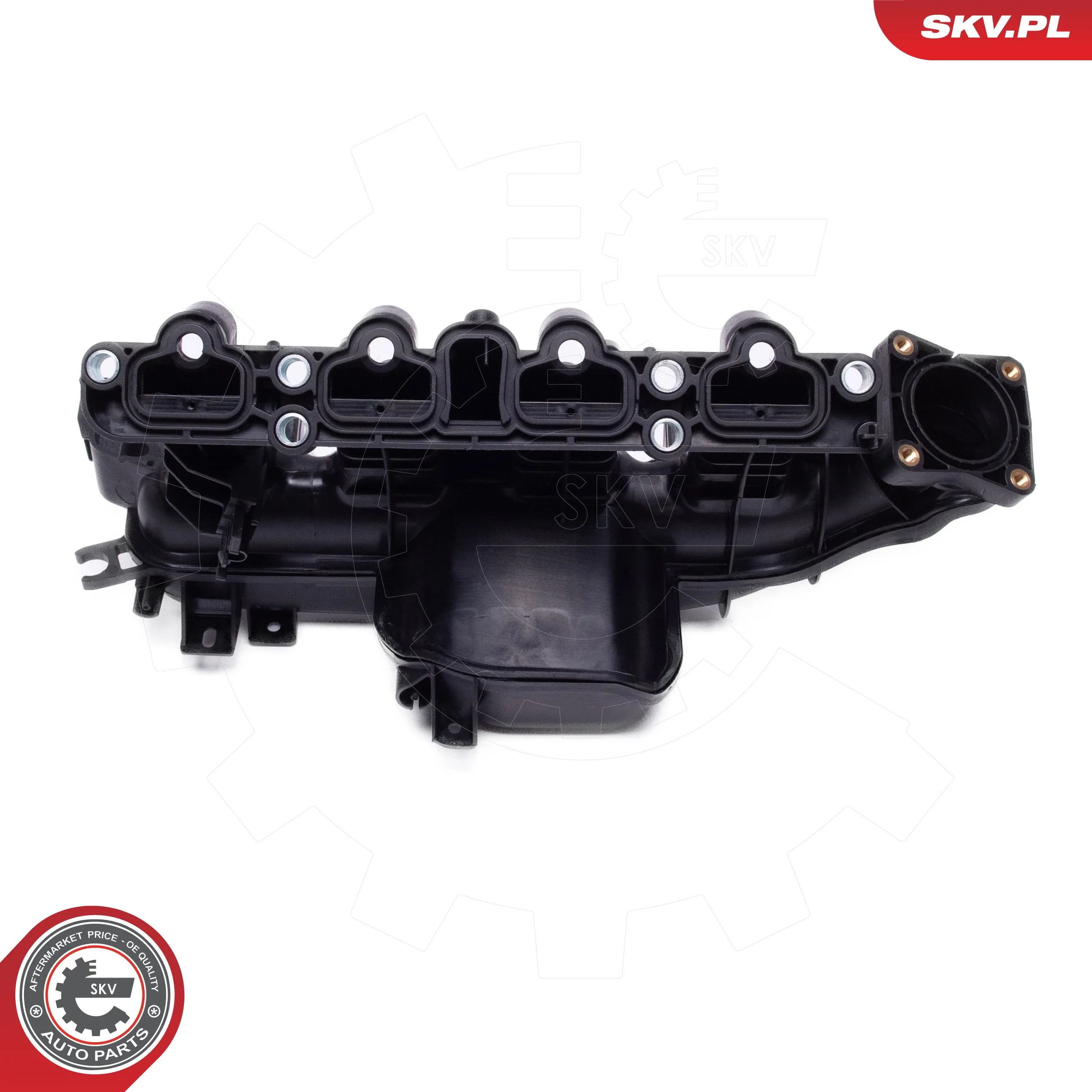 Intake Manifold Module 49SKV076