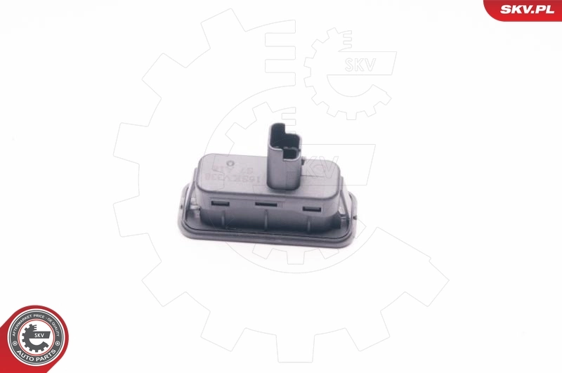 Switch, door lock system 16SKV338