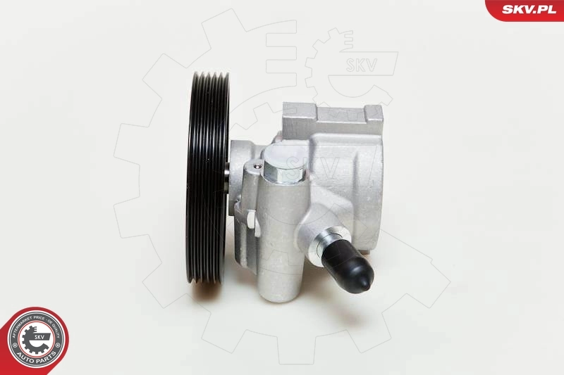 Hydraulic Pump, steering 10SKV057