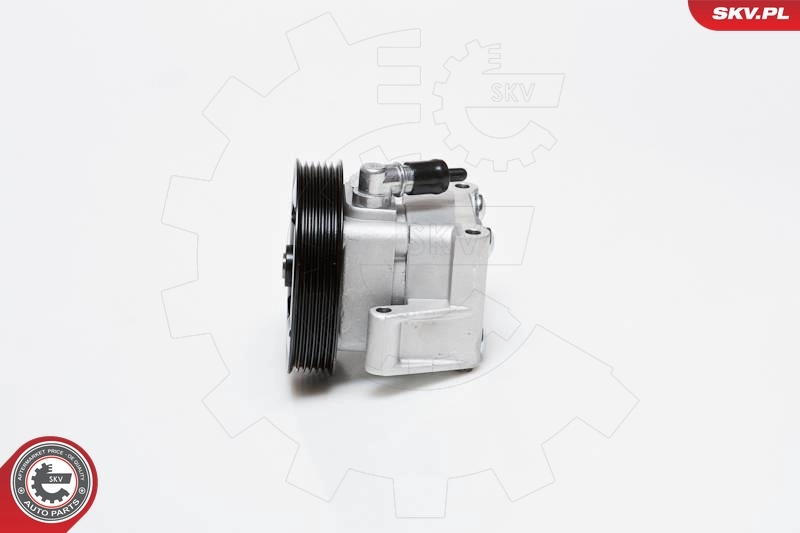 Hydraulic Pump, steering 10SKV091