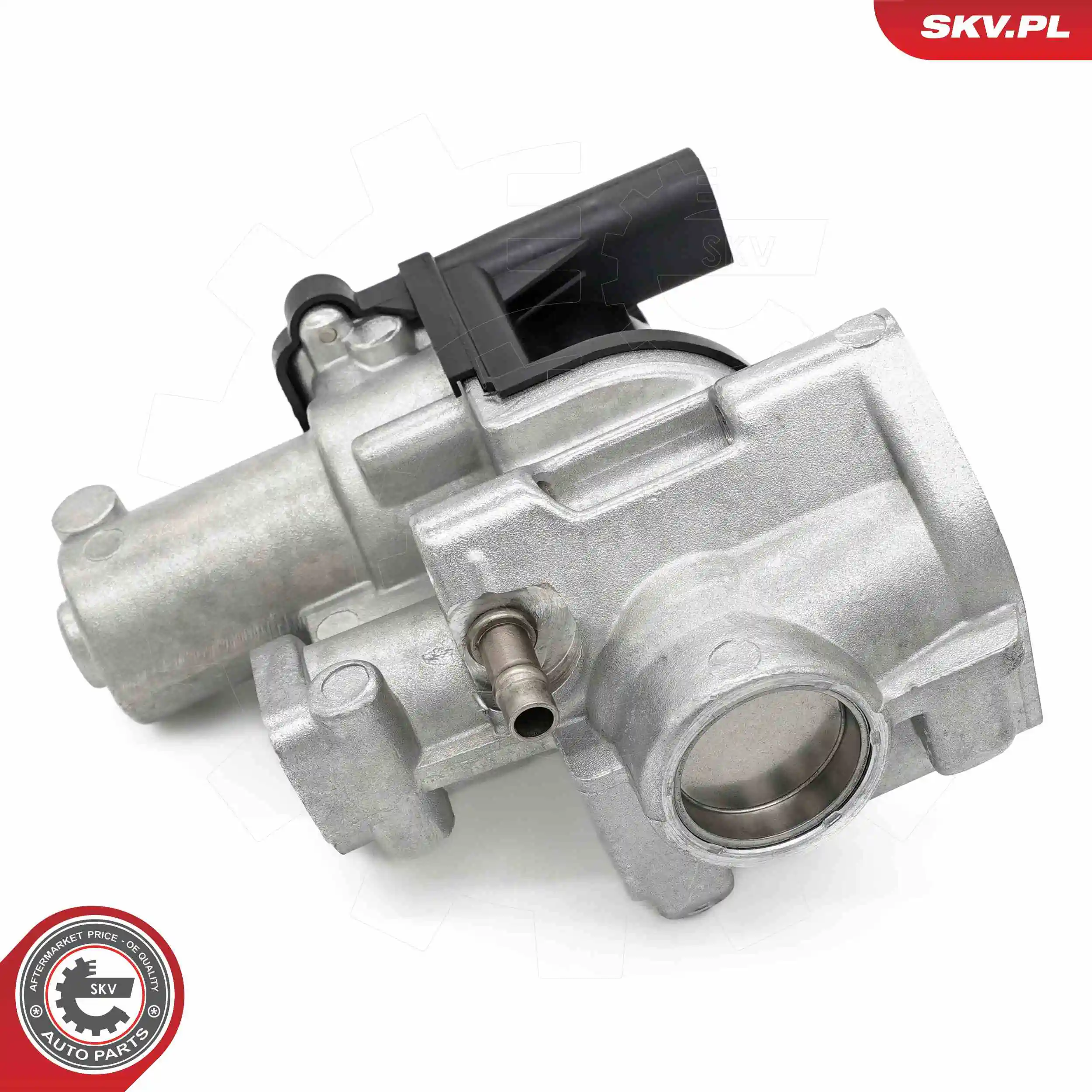 EGR Valve 14SKV253
