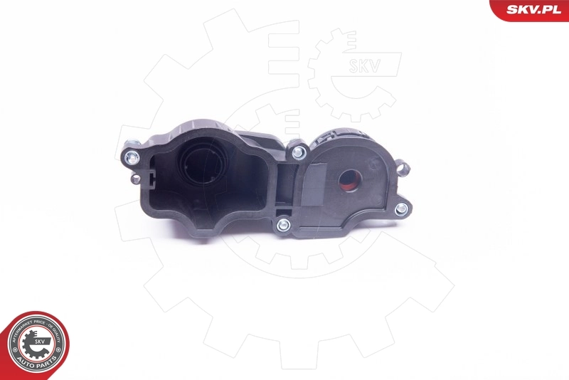 Valve, crankcase ventilation 31SKV037