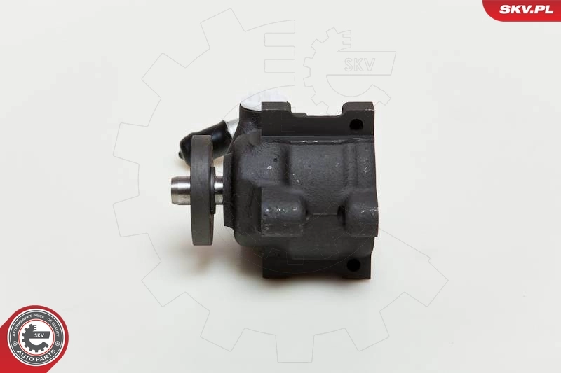 Hydraulic Pump, steering 10SKV036