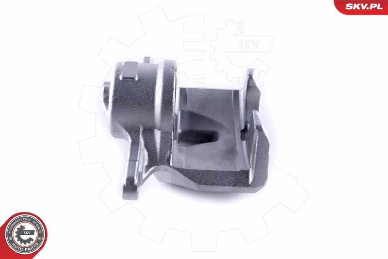 Brake Caliper 55SKV511