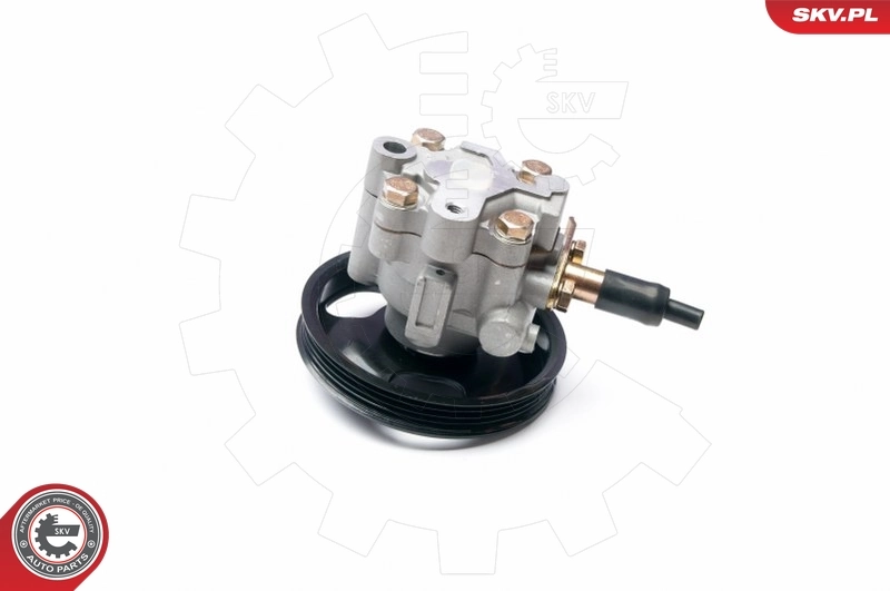 Hydraulic Pump, steering 10SKV228