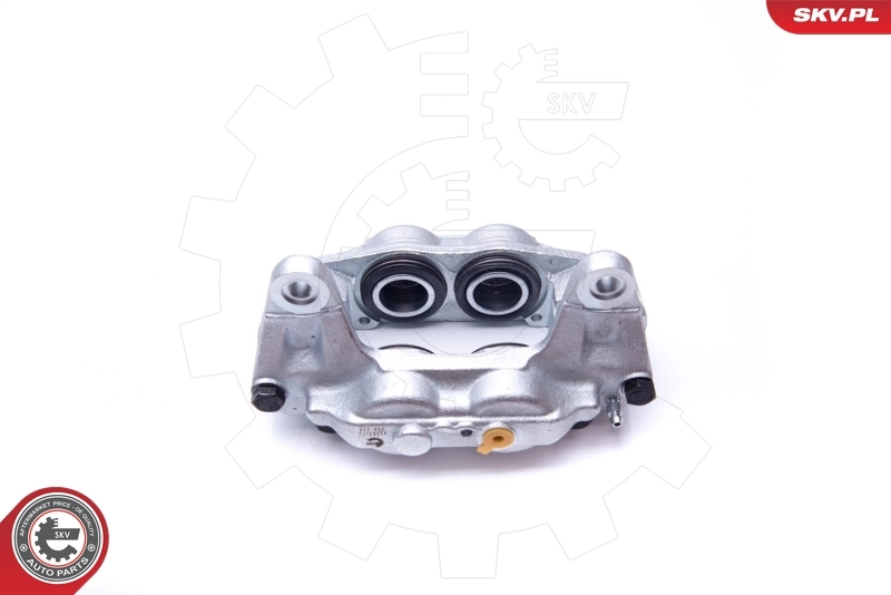 Brake Caliper 42SKV172