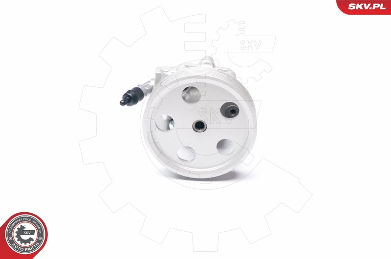 Hydraulic Pump, steering 10SKV185