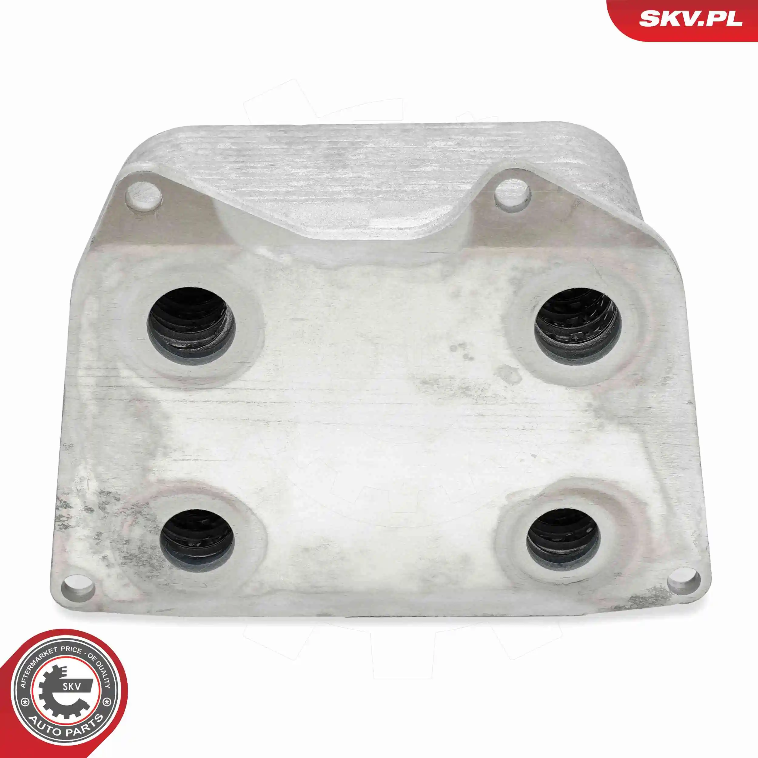 Oil Cooler, engine oil 31SKV291