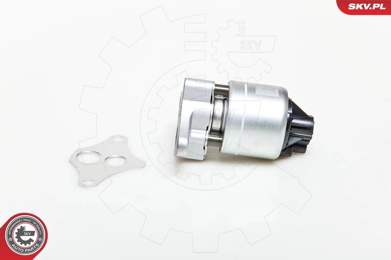 EGR Valve 14SKV037