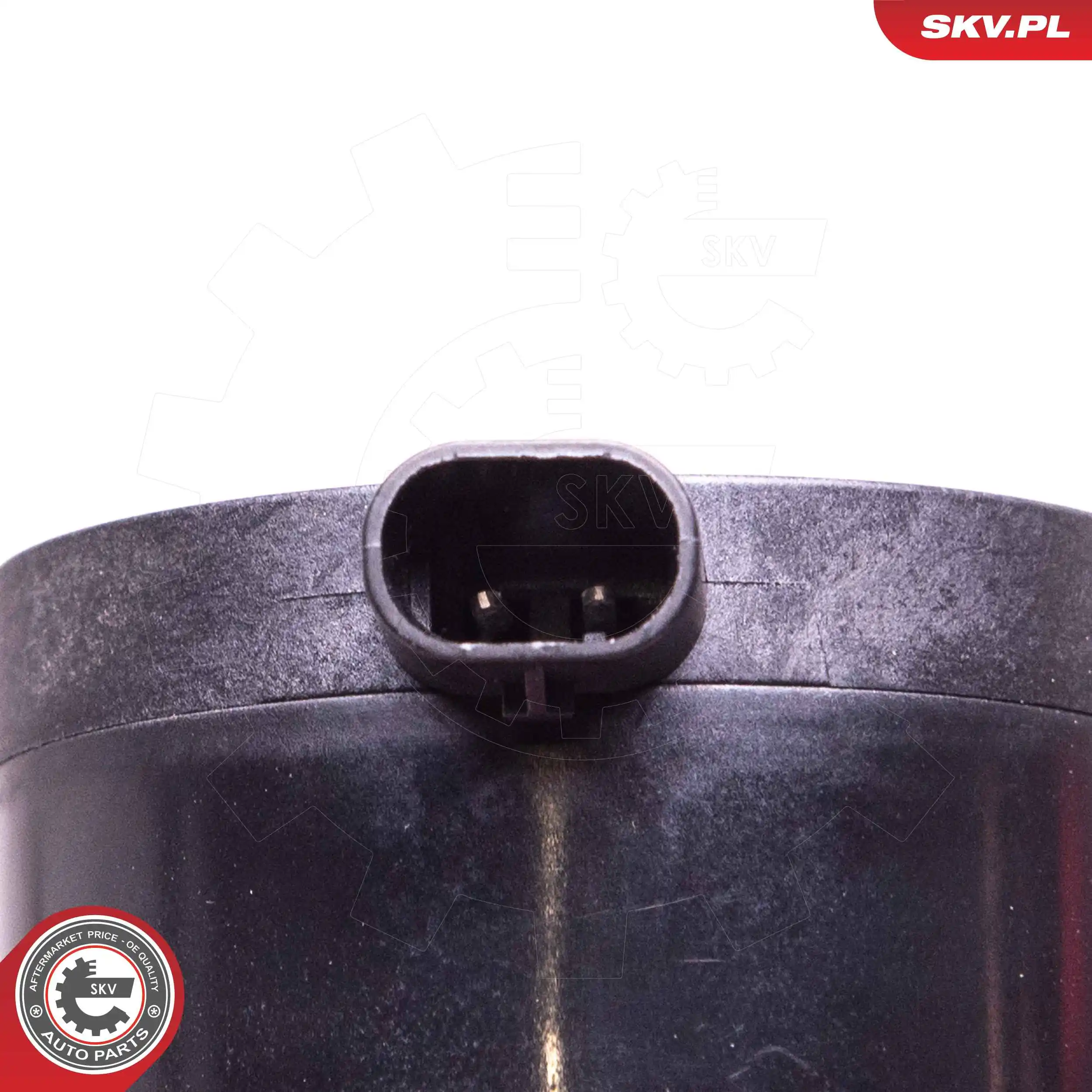 ESEN SKV 22SKV034 Auxiliary Water Pump (cooling water circuit)