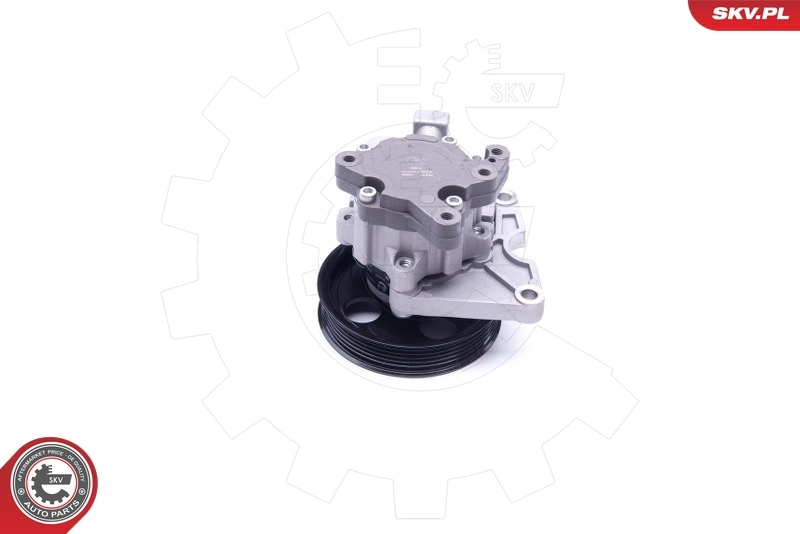 Hydraulic Pump, steering 10SKV273