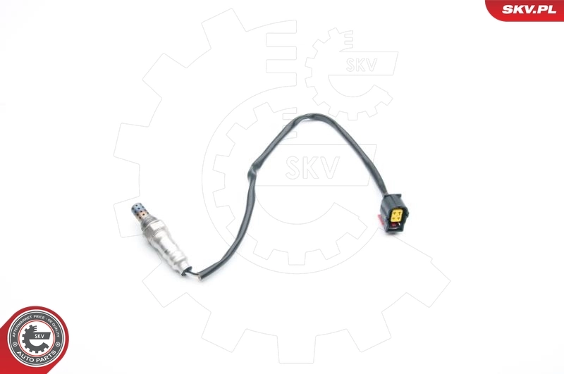 Oxygen Sensor 09SKV723