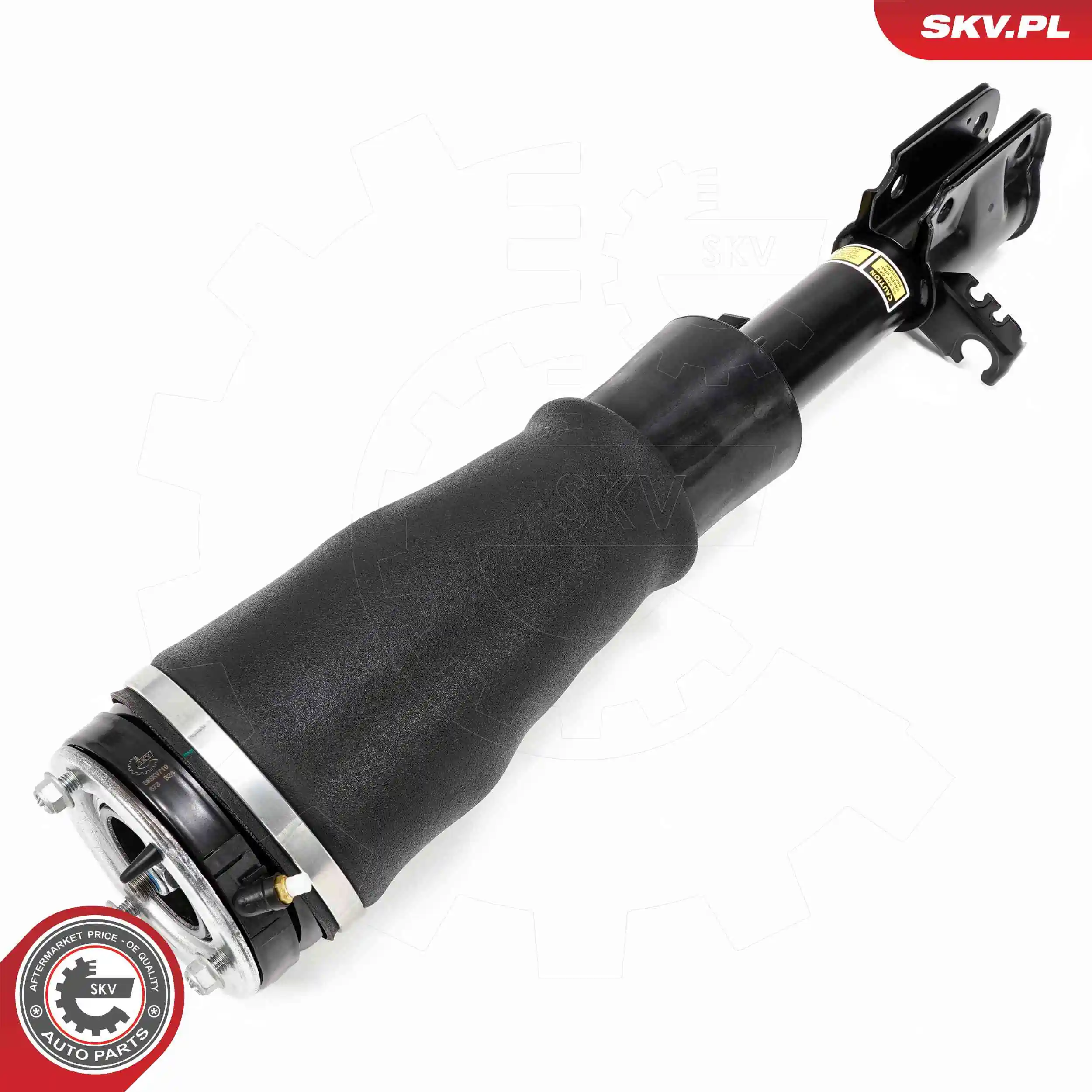 Air Suspension Strut 58SKV710