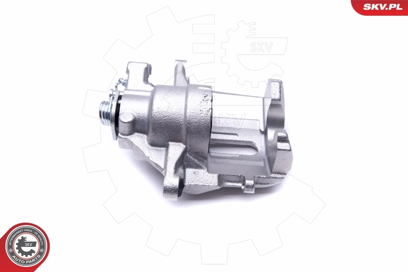 Brake Caliper 42SKV912