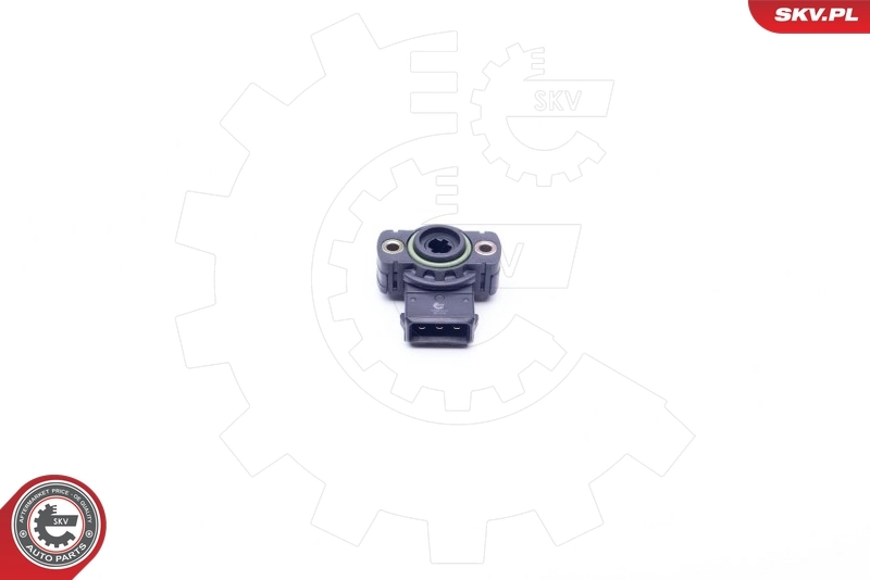 Sensor, throttle position 17SKV011