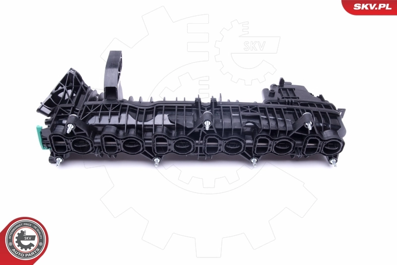 Módulo colector de admisión 49SKV039