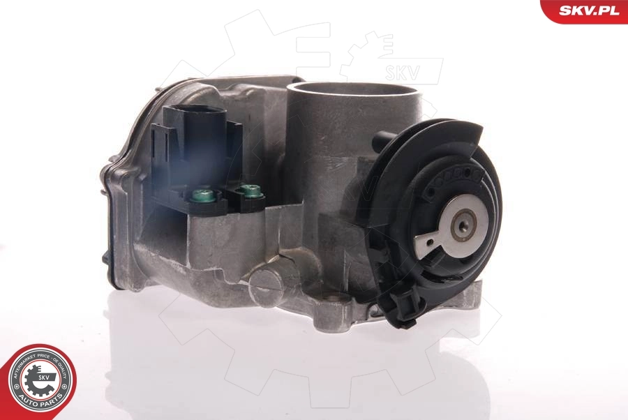 Throttle Body 12SKV024
