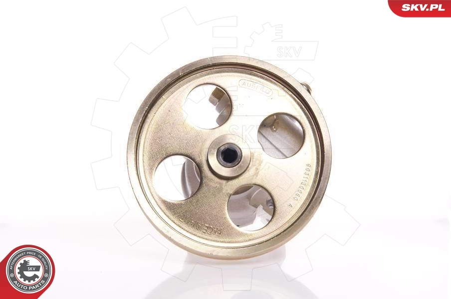 Hydraulic Pump, steering 10SKV119