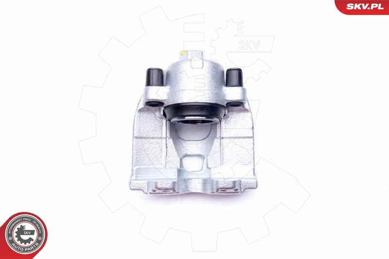Brake Caliper 42SKV051