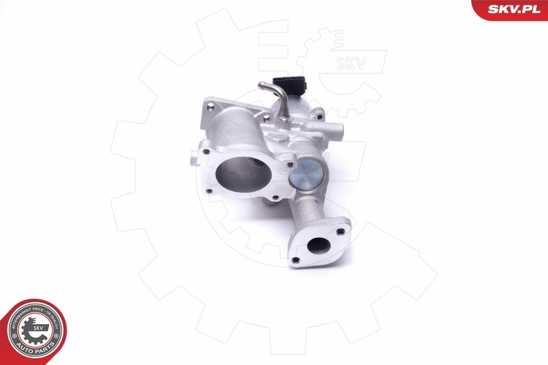 EGR Valve 14SKV167