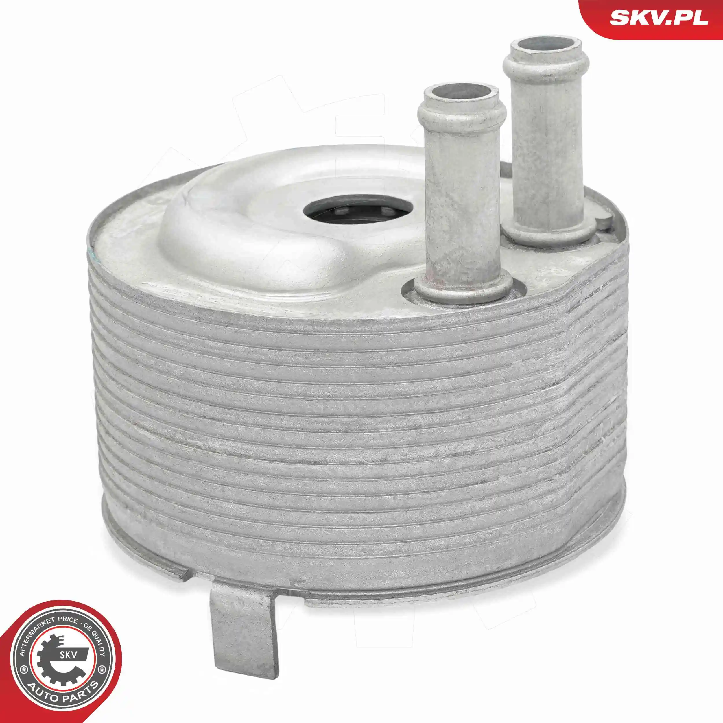 Oil Cooler, engine oil 31SKV315