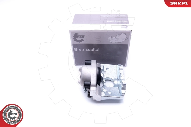 Brake Caliper 42SKV821