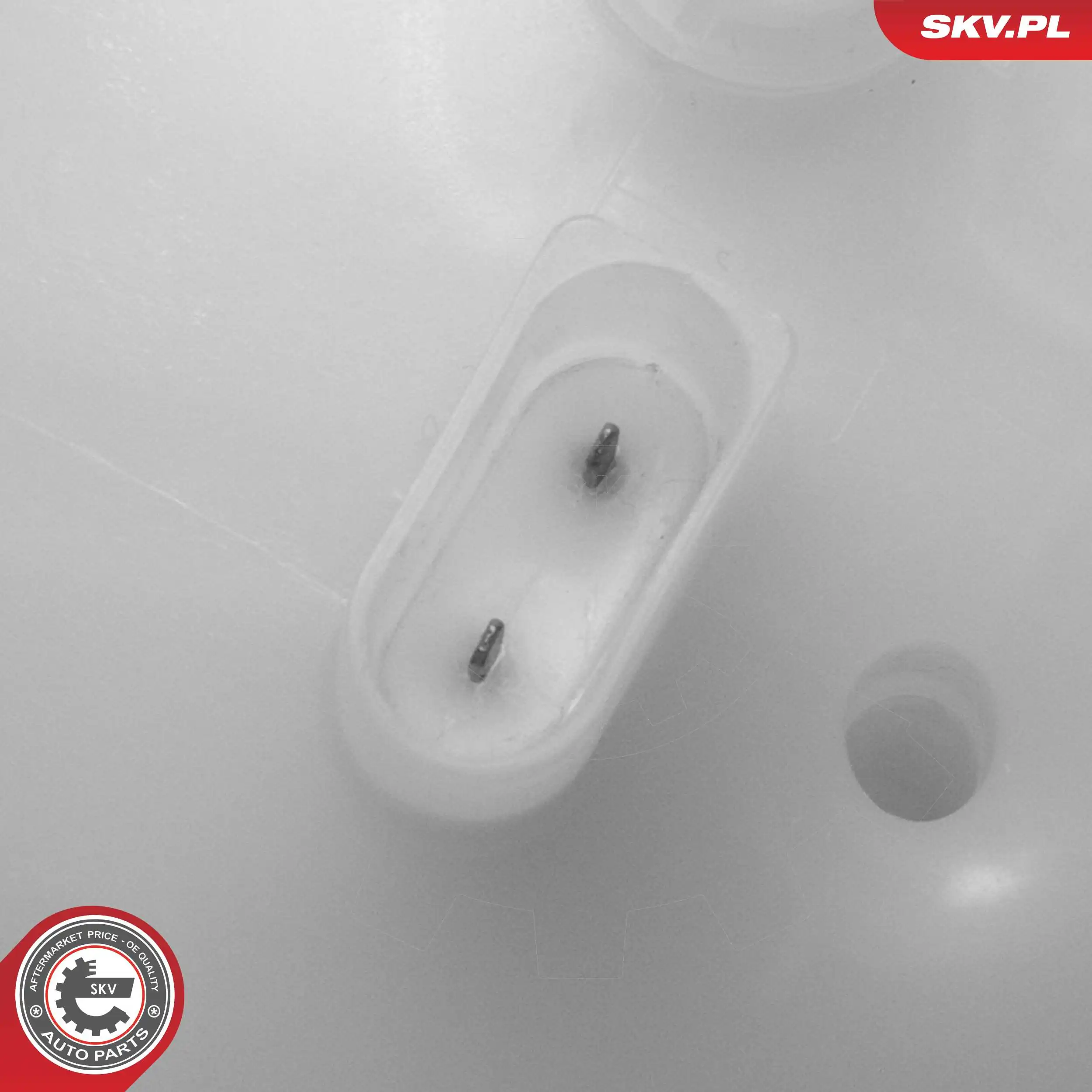 Expansion Tank, coolant 61SKV351