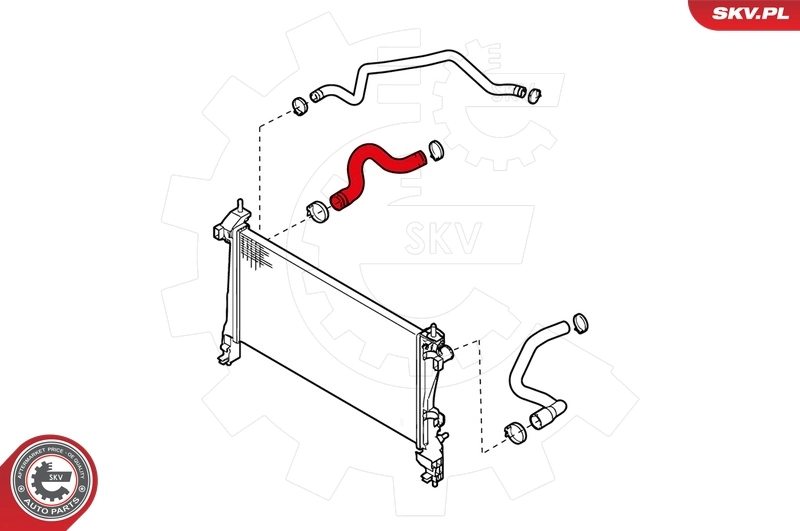 Radiator Hose 24SKV227
