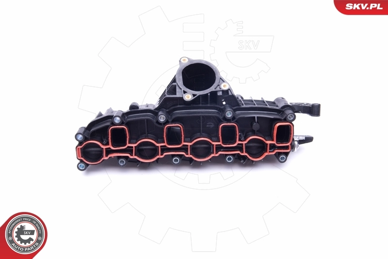Intake Manifold Module 49SKV007