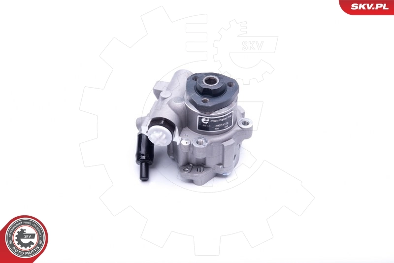 Hydraulic Pump, steering 10SKV172