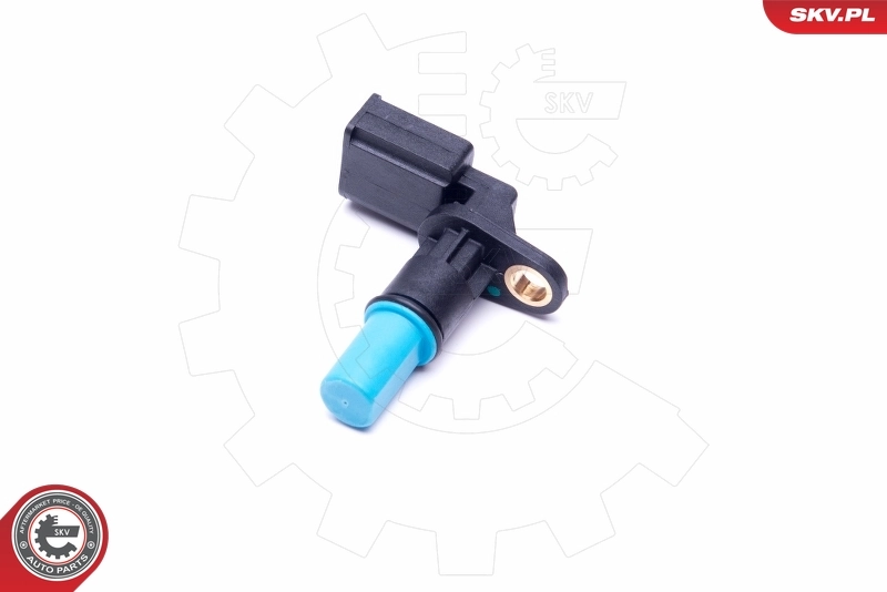 Steering Angle Sensor 17SKV483