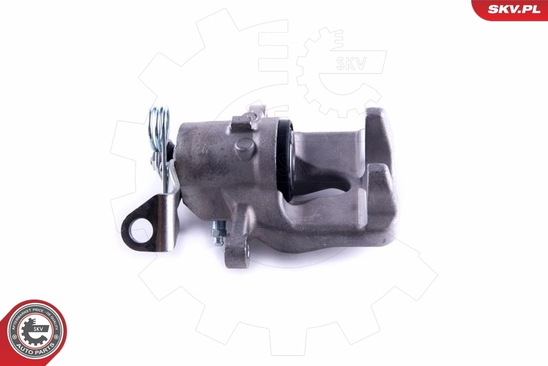 Brake Caliper 55SKV194