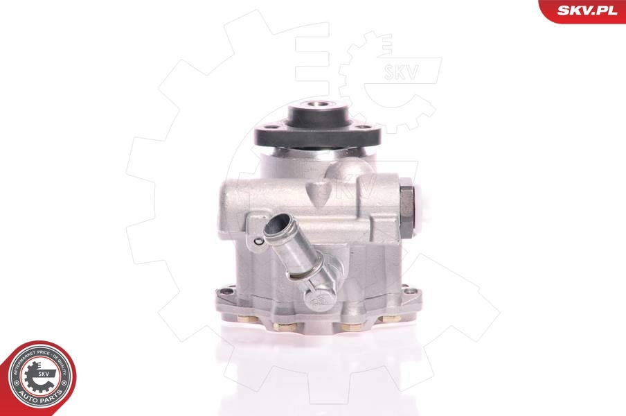 Hydraulic Pump, steering 10SKV161