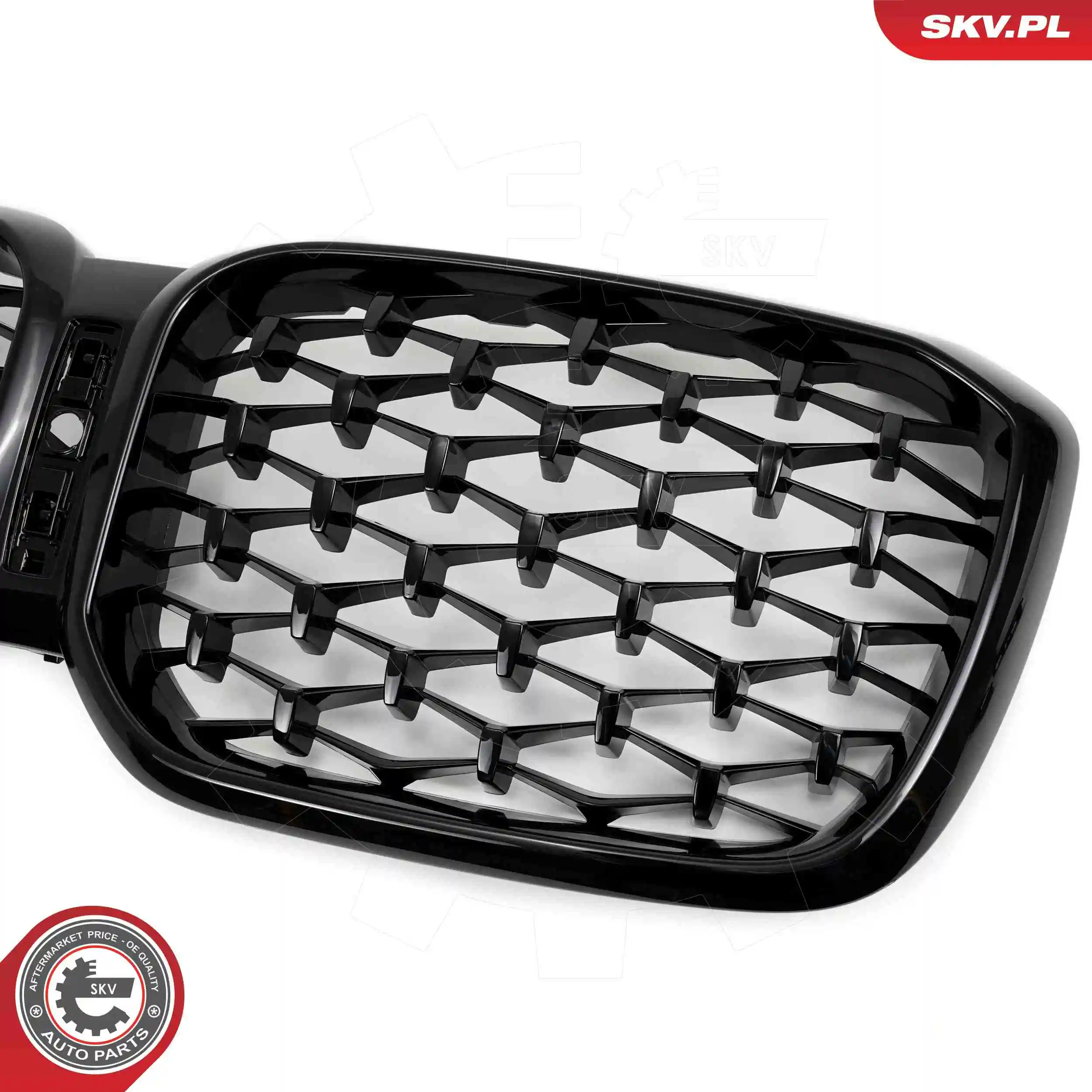 ESEN SKV 66SKV269 Radiator Grille