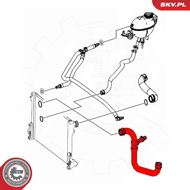 Radiator Hose 43SKV624