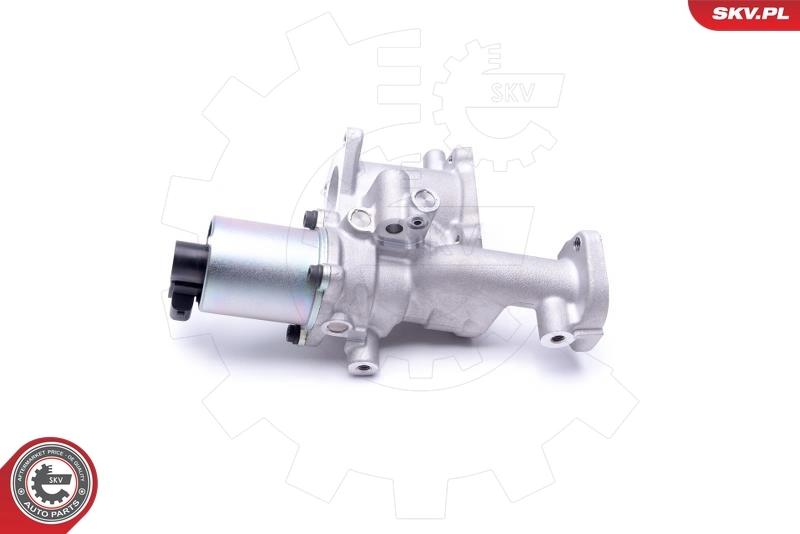 EGR Valve 14SKV167