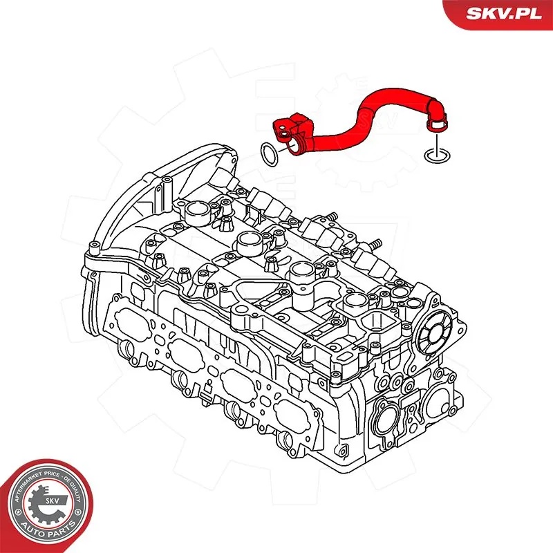 Hose, crankcase ventilation 54SKV038