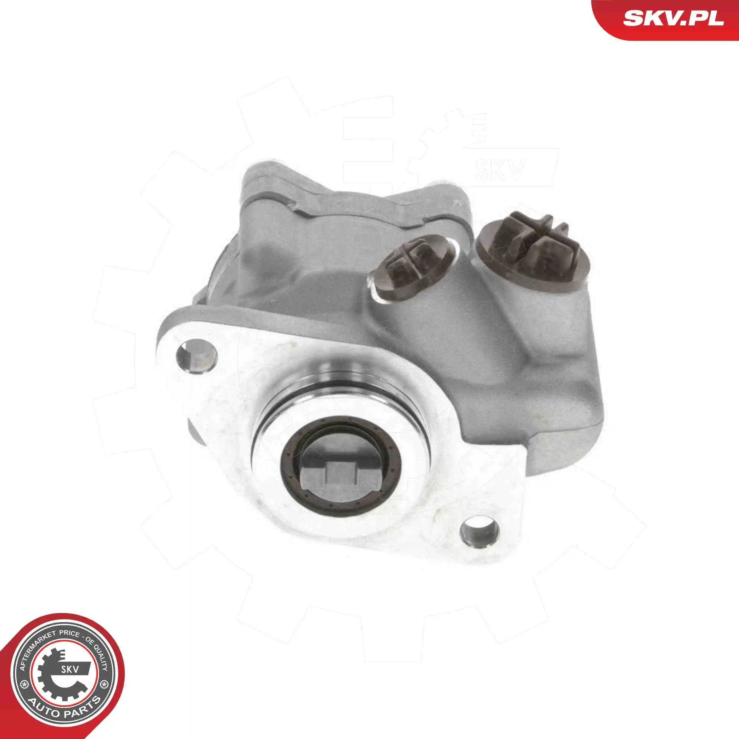 Hydraulic Pump, steering 10SKV318