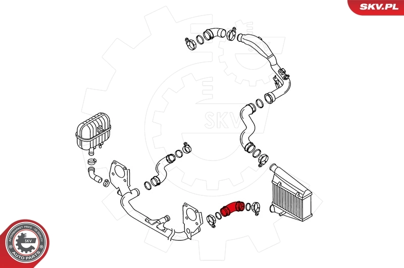 Charge Air Hose 24SKV116