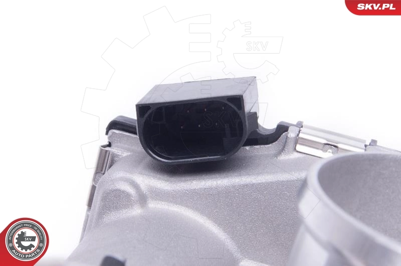 Throttle Body 12SKV085