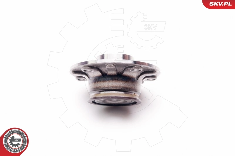 Wheel Bearing Kit 29SKV011