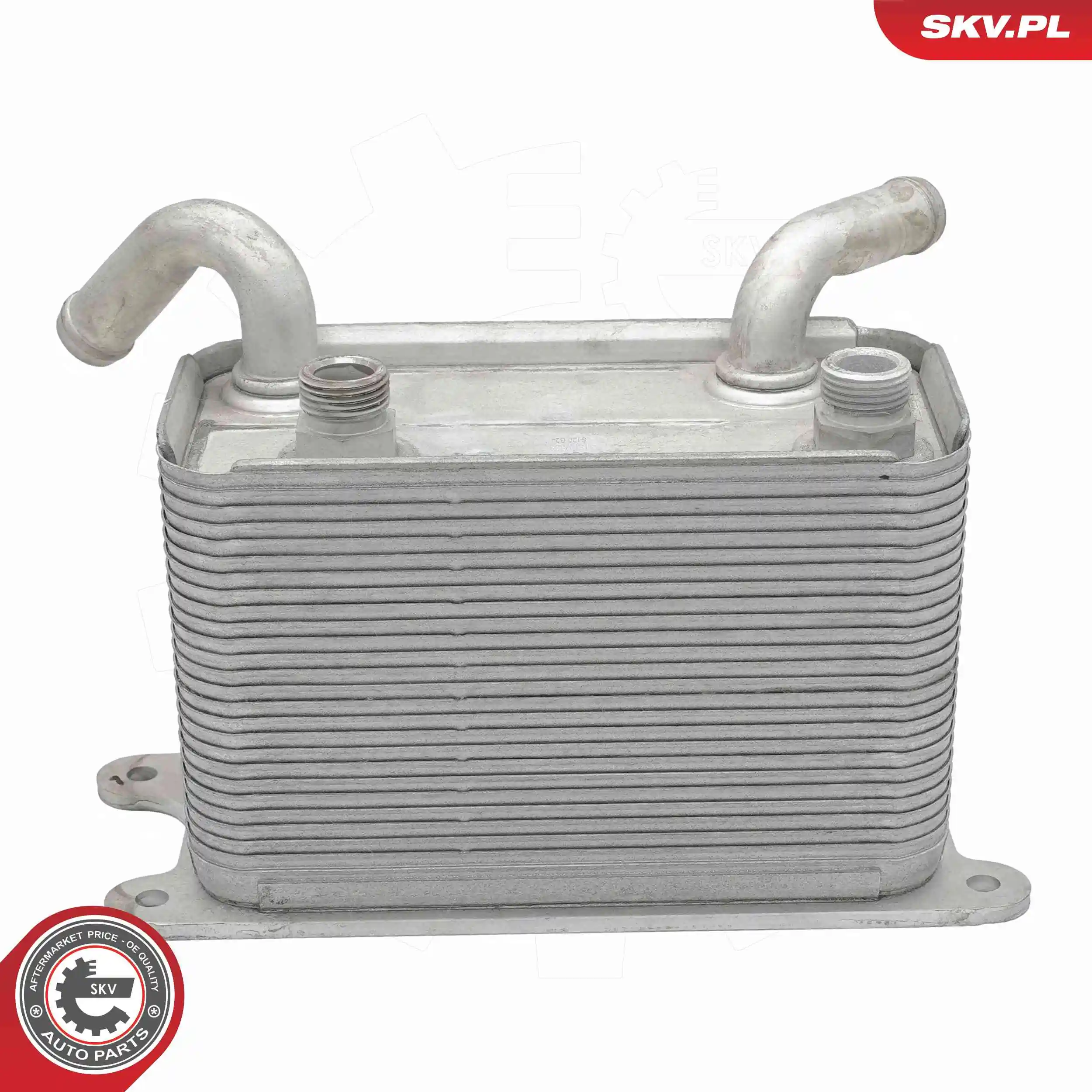 Oil Cooler, engine oil 31SKV353