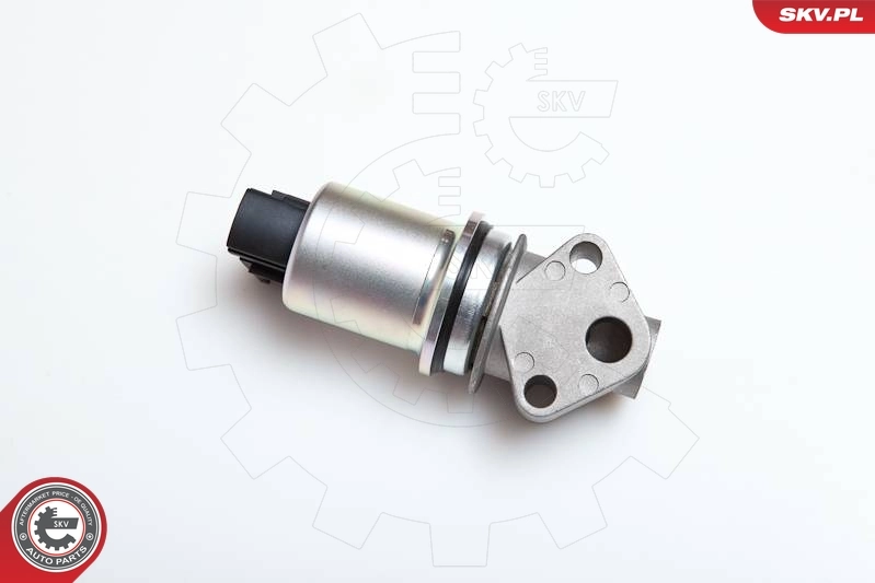 EGR Valve 14SKV043