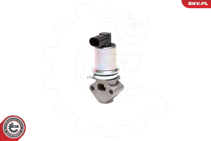 EGR Valve 14SKV029
