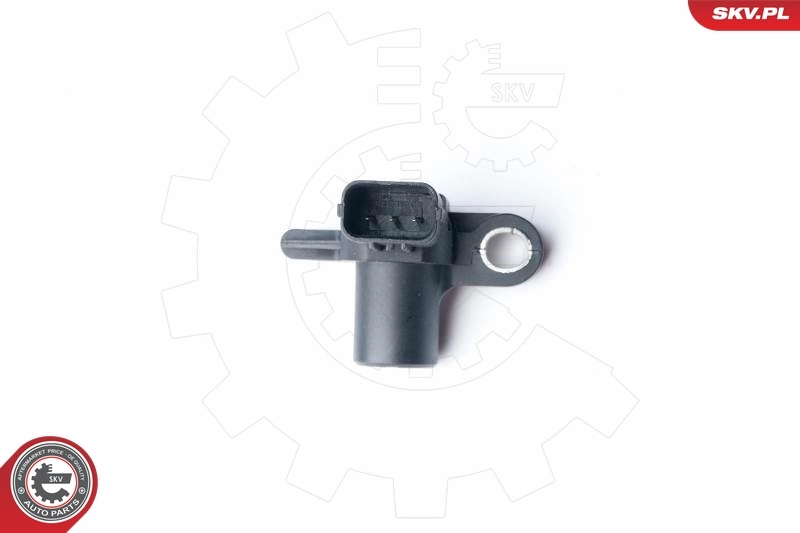 Sensor, camshaft position 17SKV251