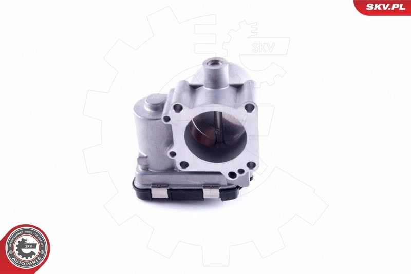 Throttle Body 12SKV087