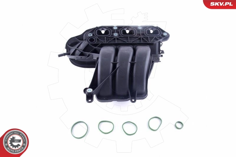 Intake Manifold Module 49SKV056