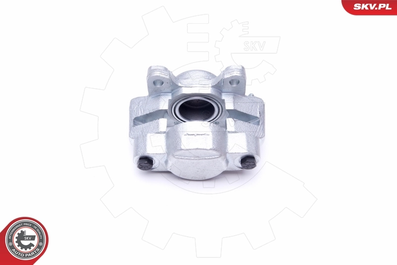 ESEN SKV 45SKV892 Brake Caliper
