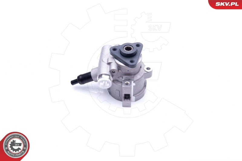 Hydraulic Pump, steering 10SKV258