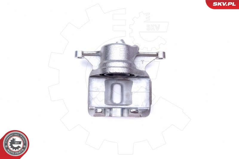 Brake Caliper 42SKV702